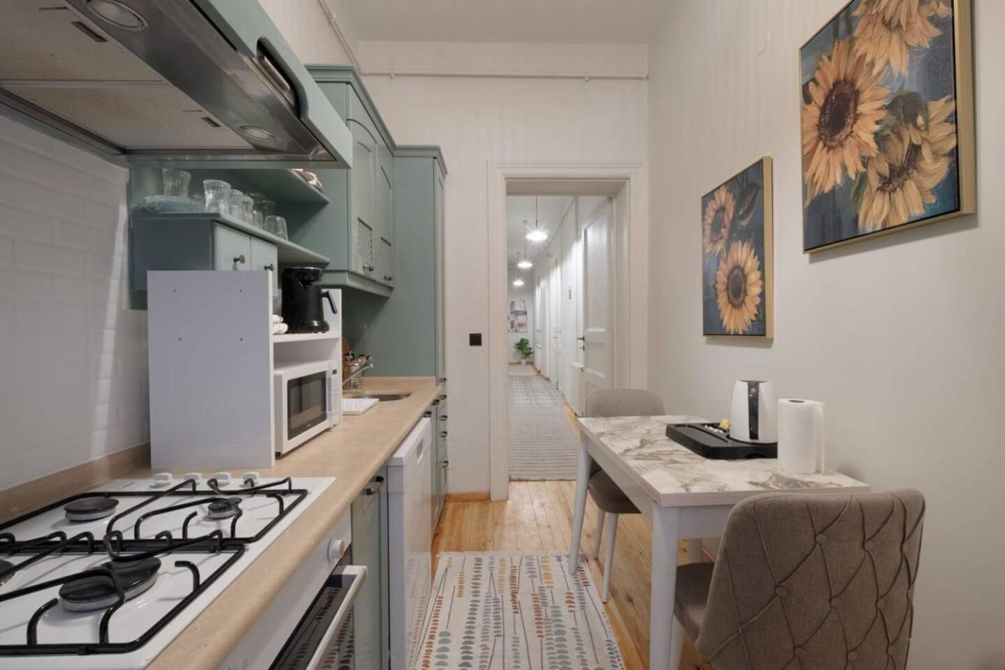 Spacious Rustic 2 Bedroom Few Steps From Galata Tower